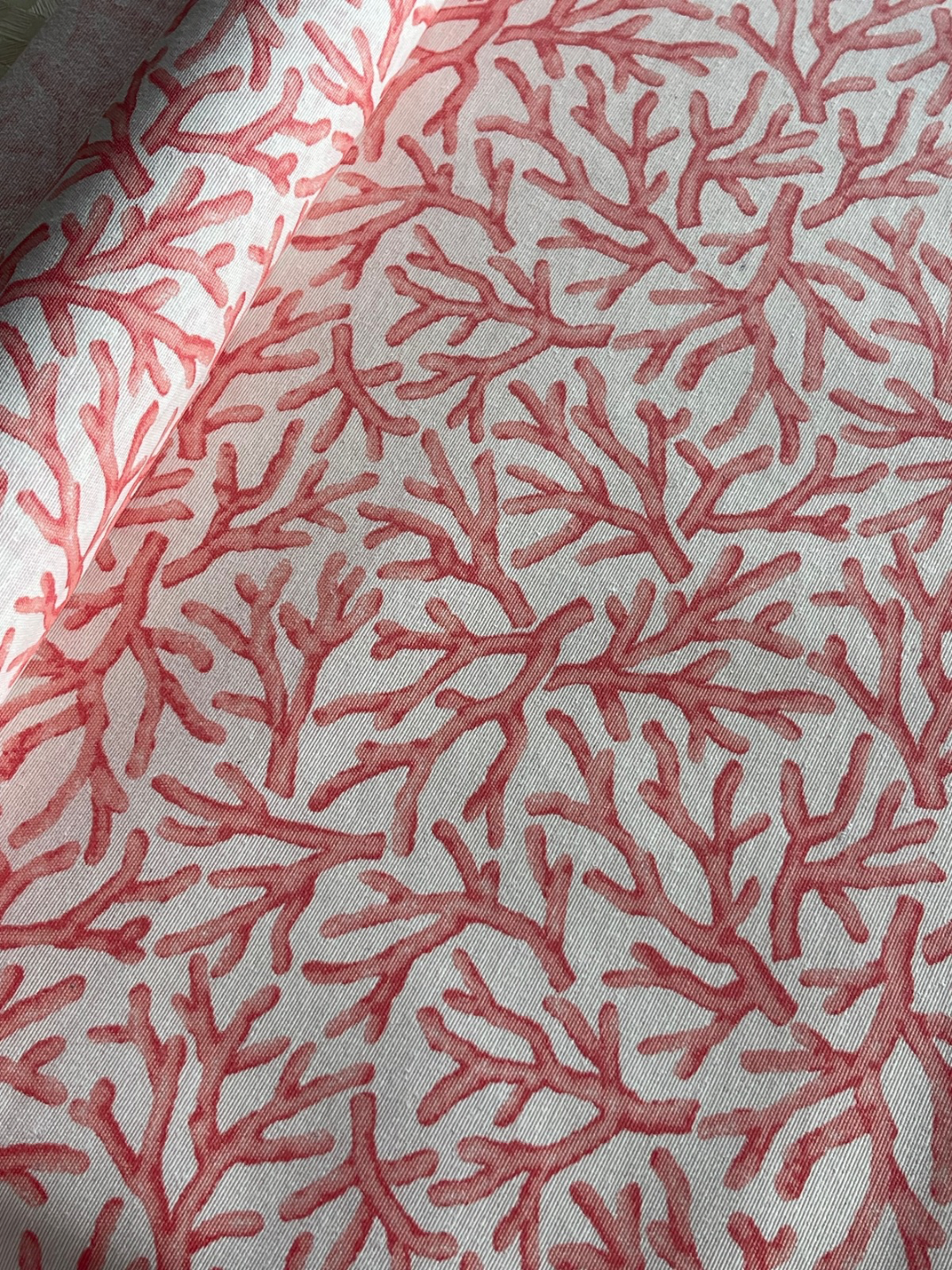 Medidas Especiales(Resinadas) - Algas Coral